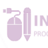 Professional Infographic Design